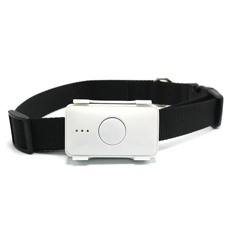 Pet Gps Tracker Collar - STLFSkylab Waterproof Pet Toys Gps Tracking