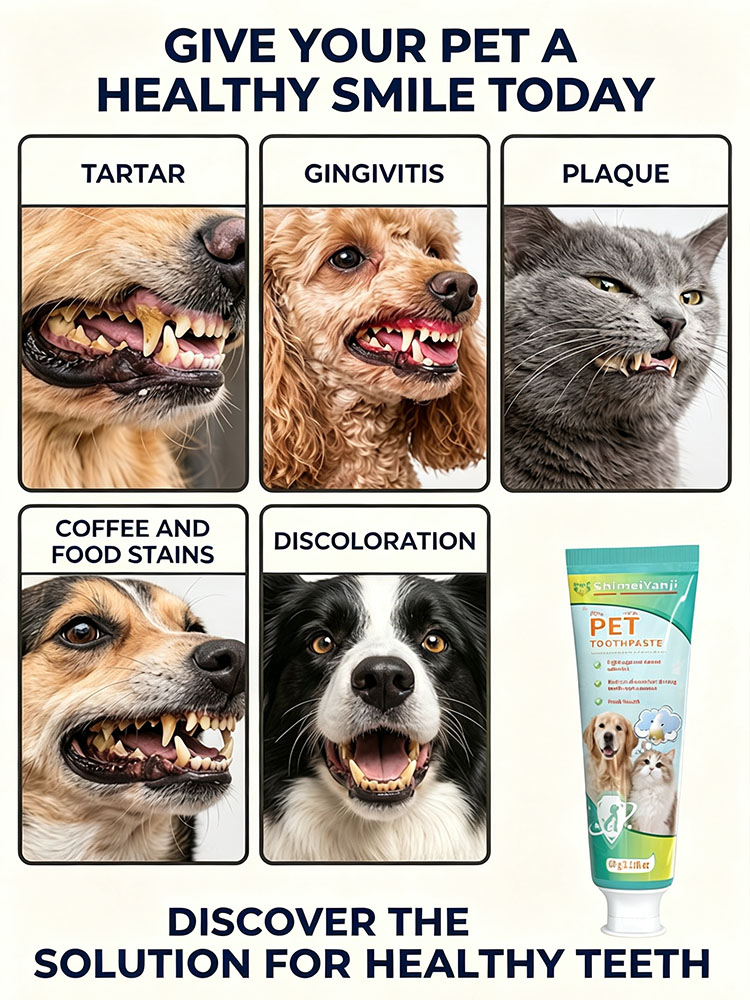 POZOAMIS Pet Teeth Cleaning To - Pet Supplies Young ulasan dan harga