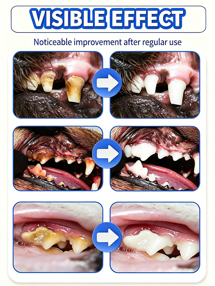 POZOAMIS Pet Teeth Cleaning To - Pet Supplies Young ulasan dan harga