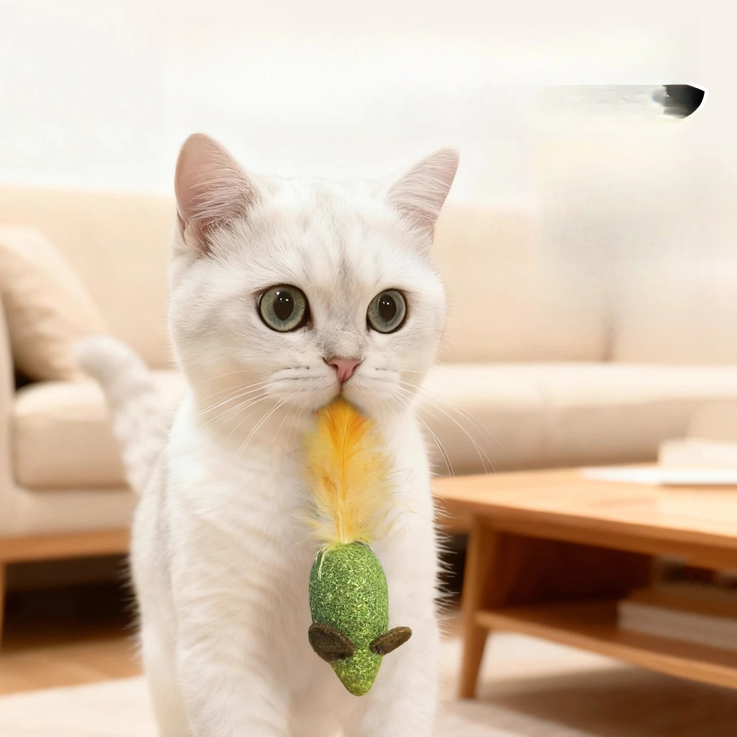 Toy Set Interactive Teaser Rod - Pet Supplies Young ulasan dan harga
