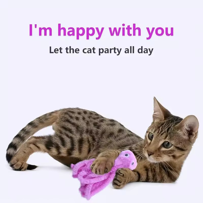 Cute octopus cat toys for kitt - Pet Supplies Young ulasan dan harga