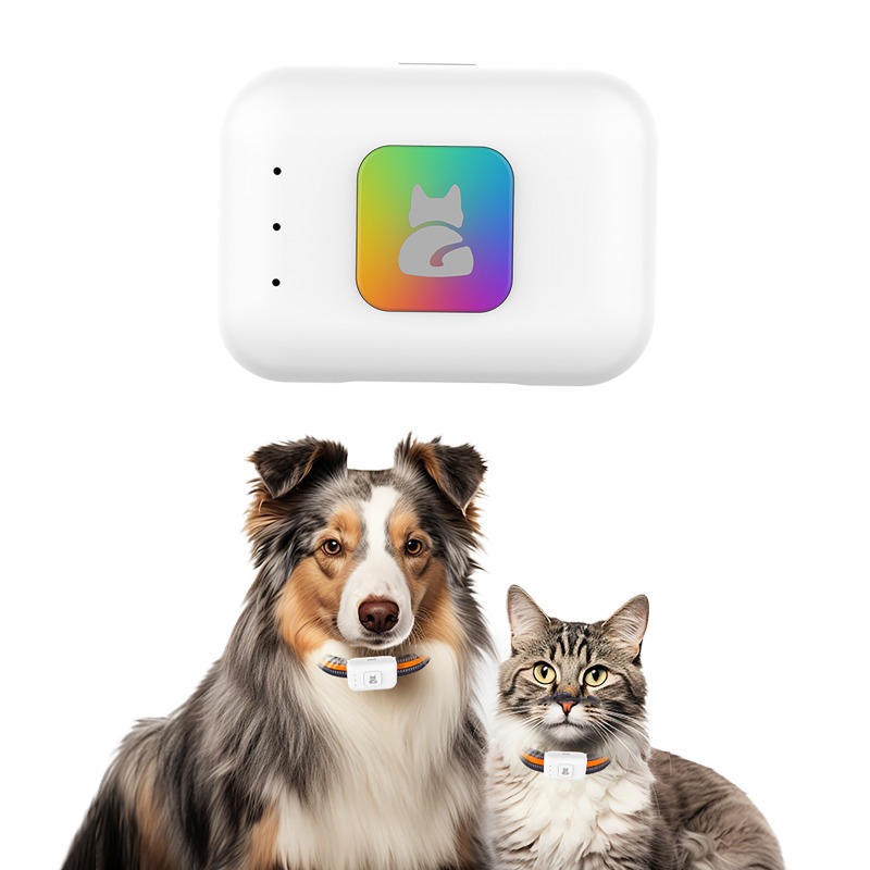 Pet GPS AGPS Tracking Device 4 - Pet Gps Tracker Collar ulasan dan harga