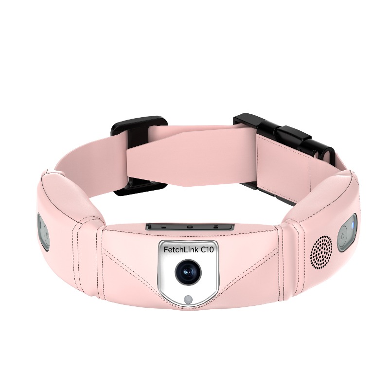 All-in-One Smart Collar With G - Pet Gps Tracker Collar ulasan dan harga