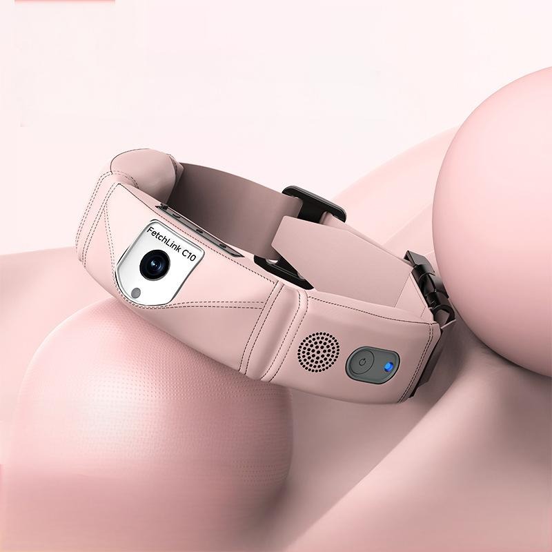 All-in-One Smart Collar With G - Pet Gps Tracker Collar ulasan dan harga