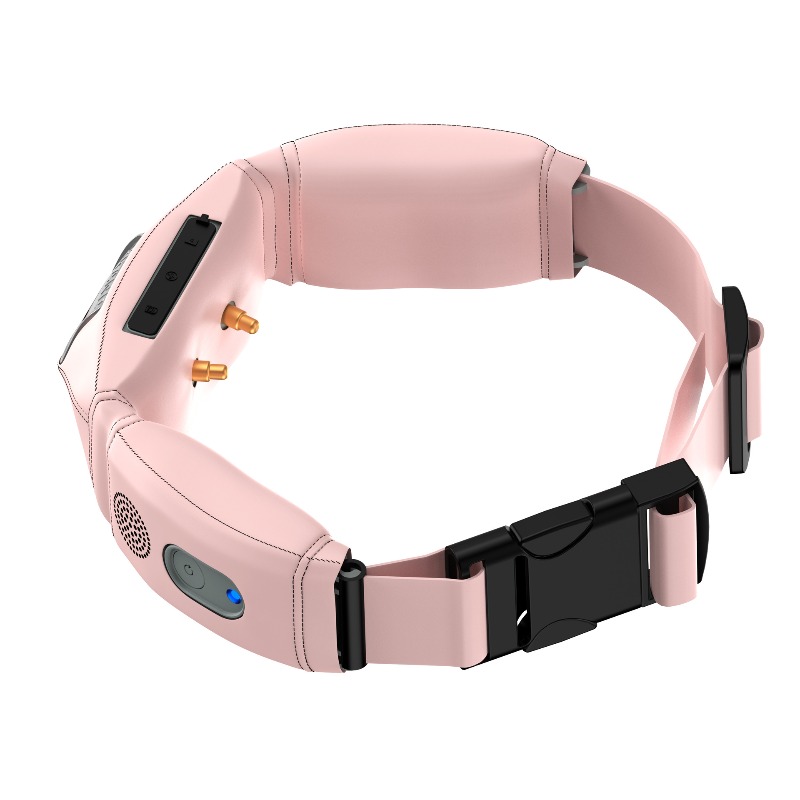 All-in-One Smart Collar With G - Pet Gps Tracker Collar ulasan dan harga