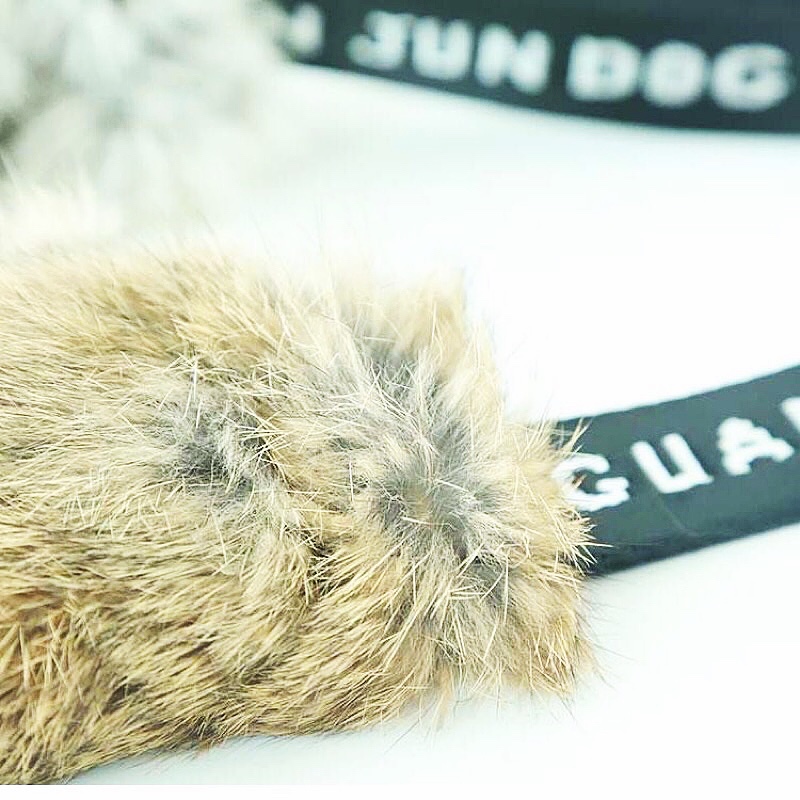 High-Quality Rabbit Skin Dog B - Pet Supplies Young ulasan dan harga