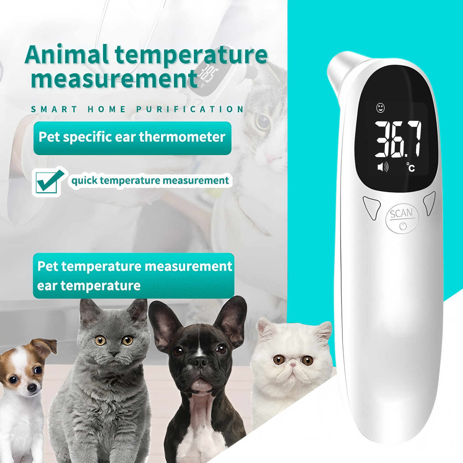 Pet Ear Digital Thermometer No - Pet Supplies Warehouse ulasan dan harga