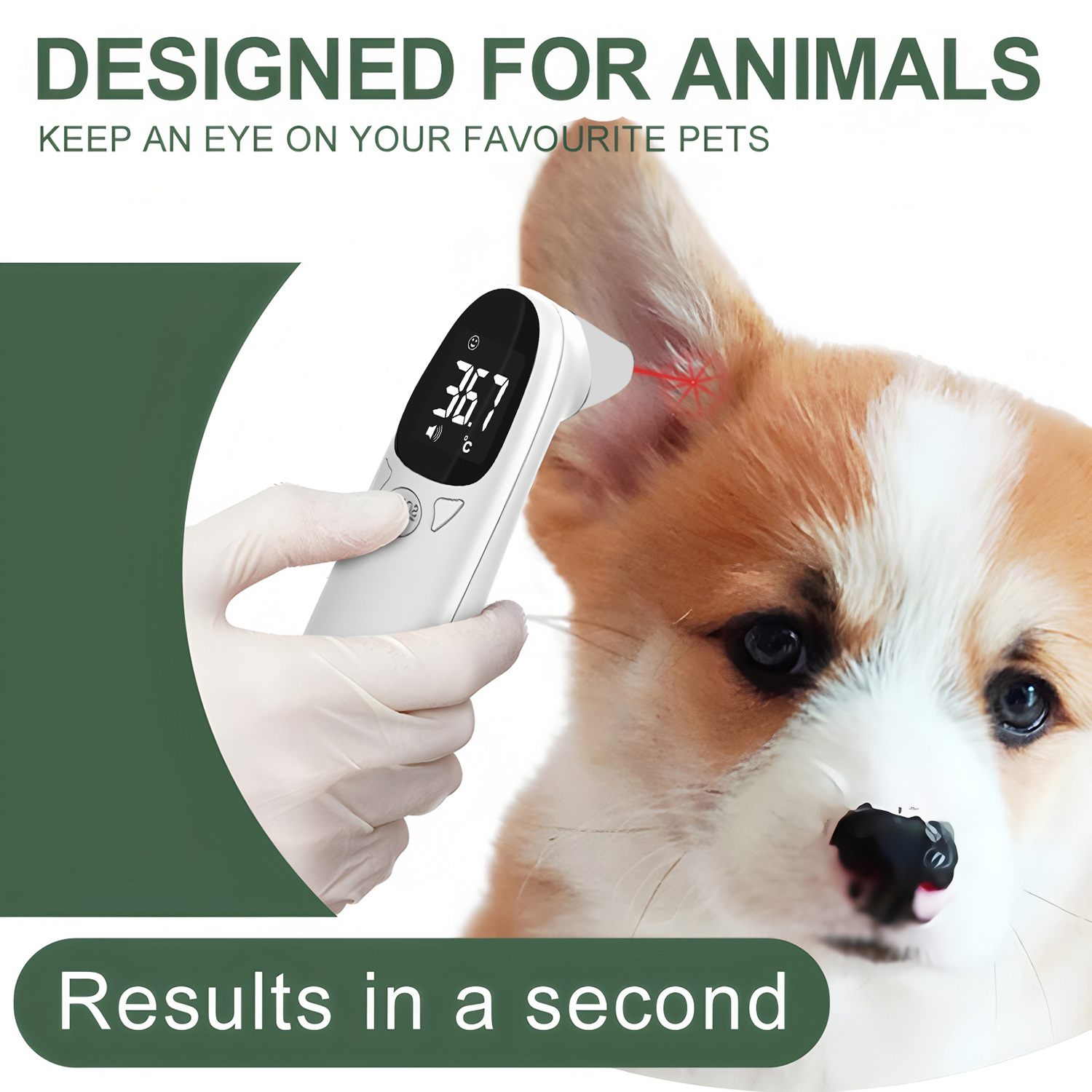 Pet Ear Digital Thermometer No - Pet Supplies Warehouse ulasan dan harga
