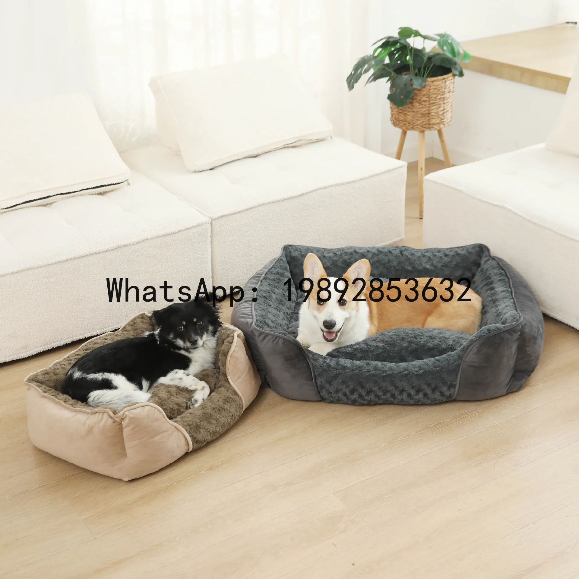 X cat house semi-enclosed dog  - Pet X Supplies & Tack Grooming ulasan dan harga