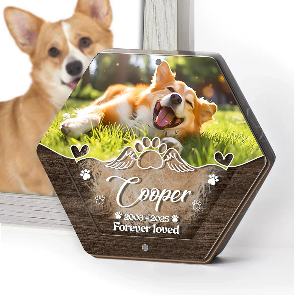 Personalized Name Wooden Carvi - Pet Supplies Warehouse ulasan dan harga