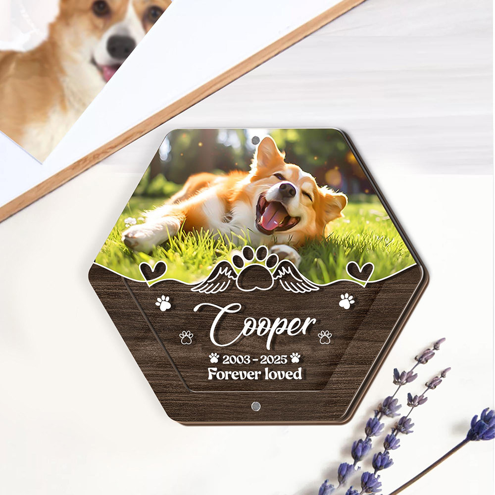 Personalized Name Wooden Carvi - Pet Supplies Warehouse ulasan dan harga