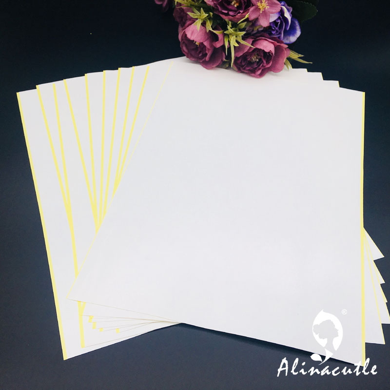 10PC X A4 Double Sided Tape St - Pet X Supplies & Tack Grooming ulasan dan harga