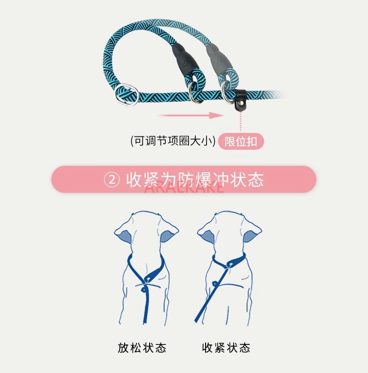 P rope explosion-proof walking - Pet Supplies Young ulasan dan harga