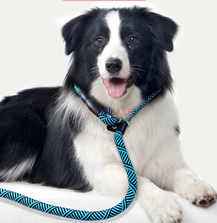 P rope explosion-proof walking - Pet Supplies Young ulasan dan harga
