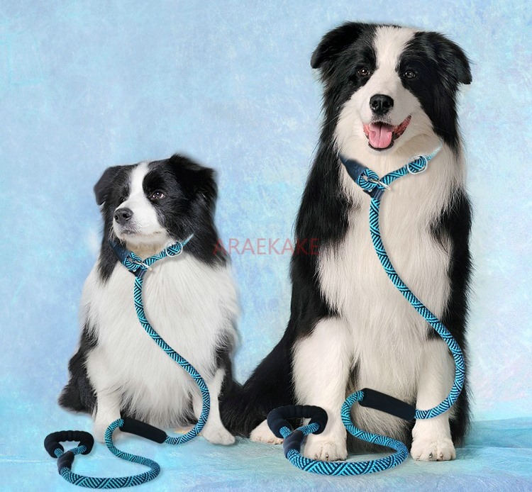 P rope explosion-proof walking - Pet Supplies Young ulasan dan harga