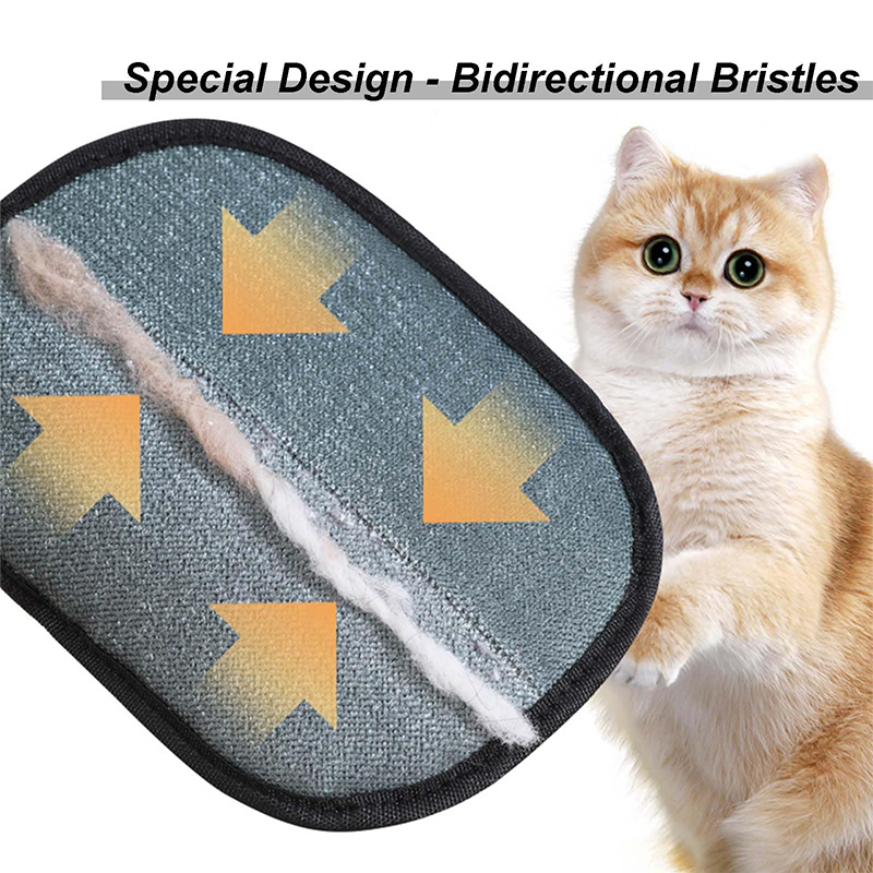 New Electrostatic Pet Grooming - Pet Supplies Warehouse ulasan dan harga