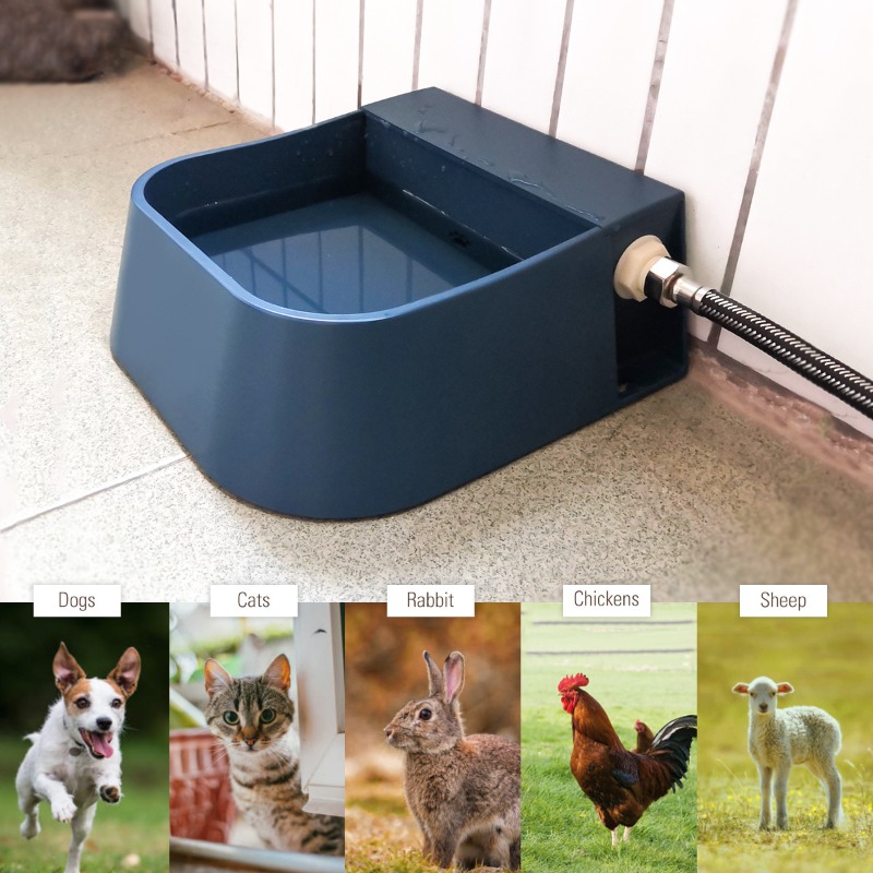 Pet Automatic Water Dispenser  - Pet Supplies Unlimited ulasan dan harga