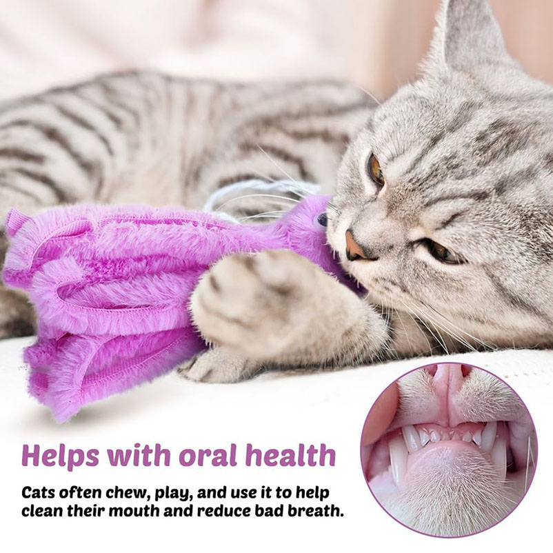 Cute octopus cat toys for kitt - Pet Supplies Young ulasan dan harga