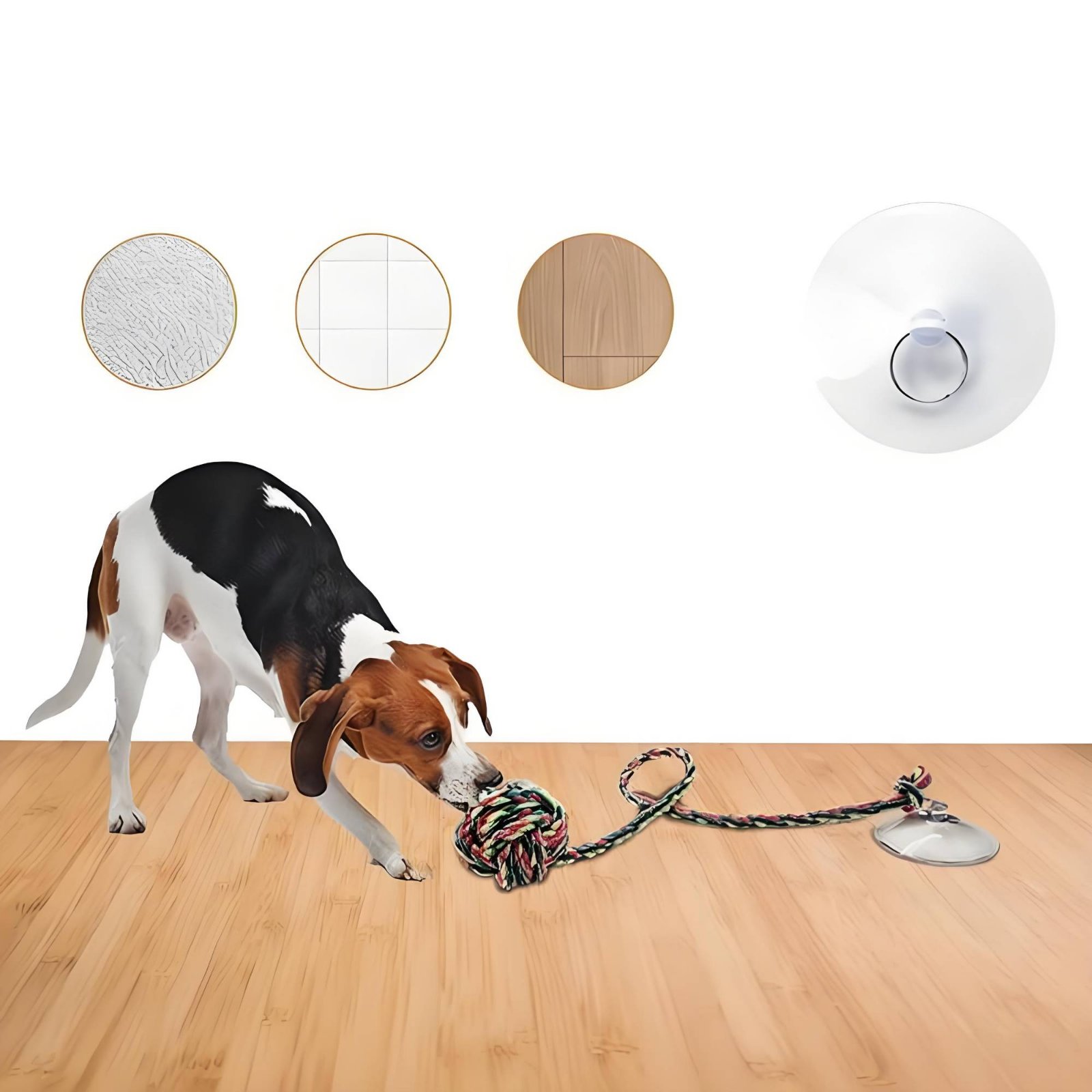 Suction Disc Dog Toy Gnaw Resi - Pet Supplies Young ulasan dan harga