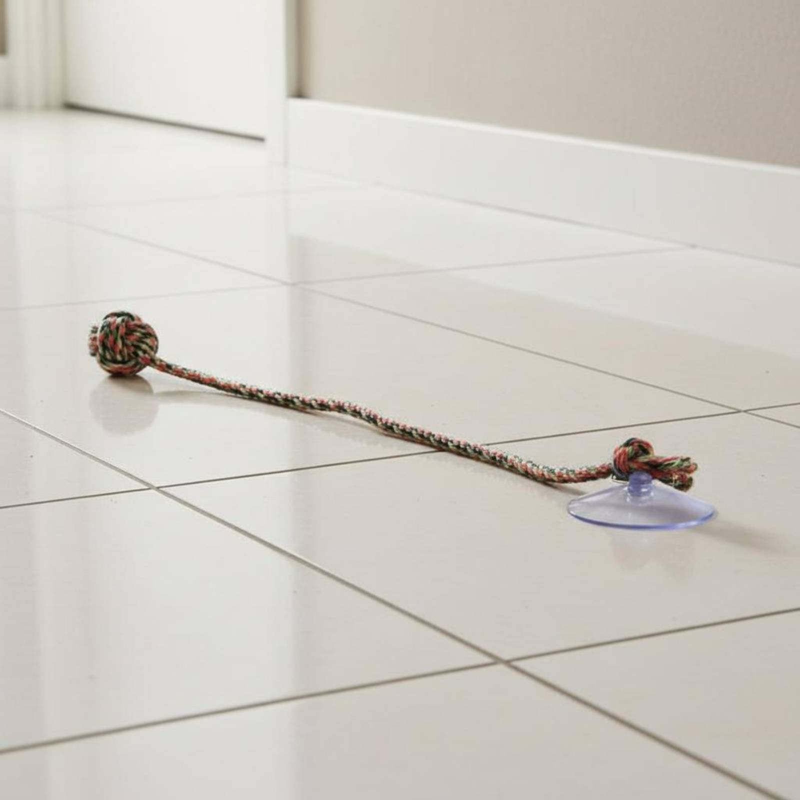 Suction Disc Dog Toy Gnaw Resi - Pet Supplies Young ulasan dan harga