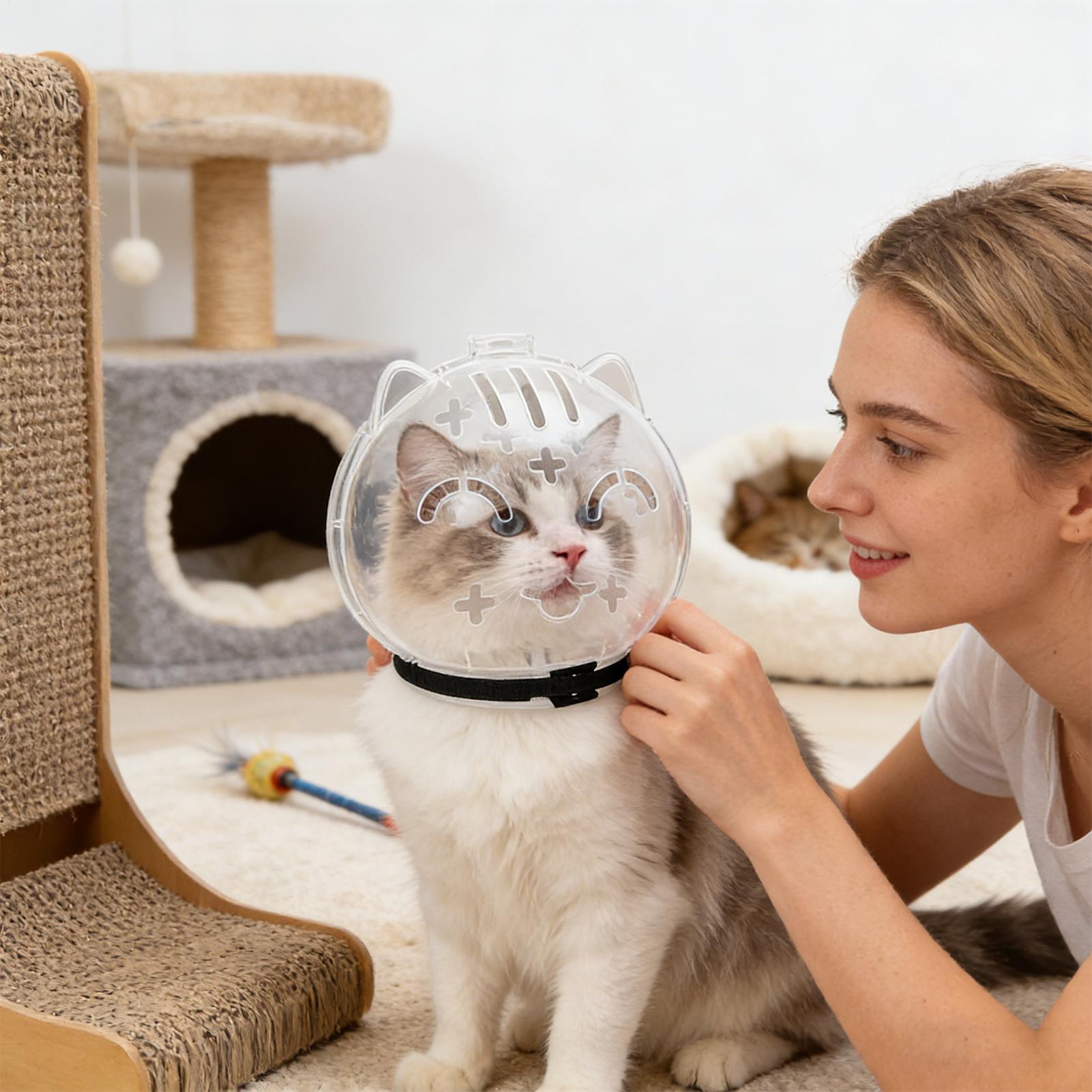 Breathable Cat Muzzle Transpar - Pet Supplies Young ulasan dan harga