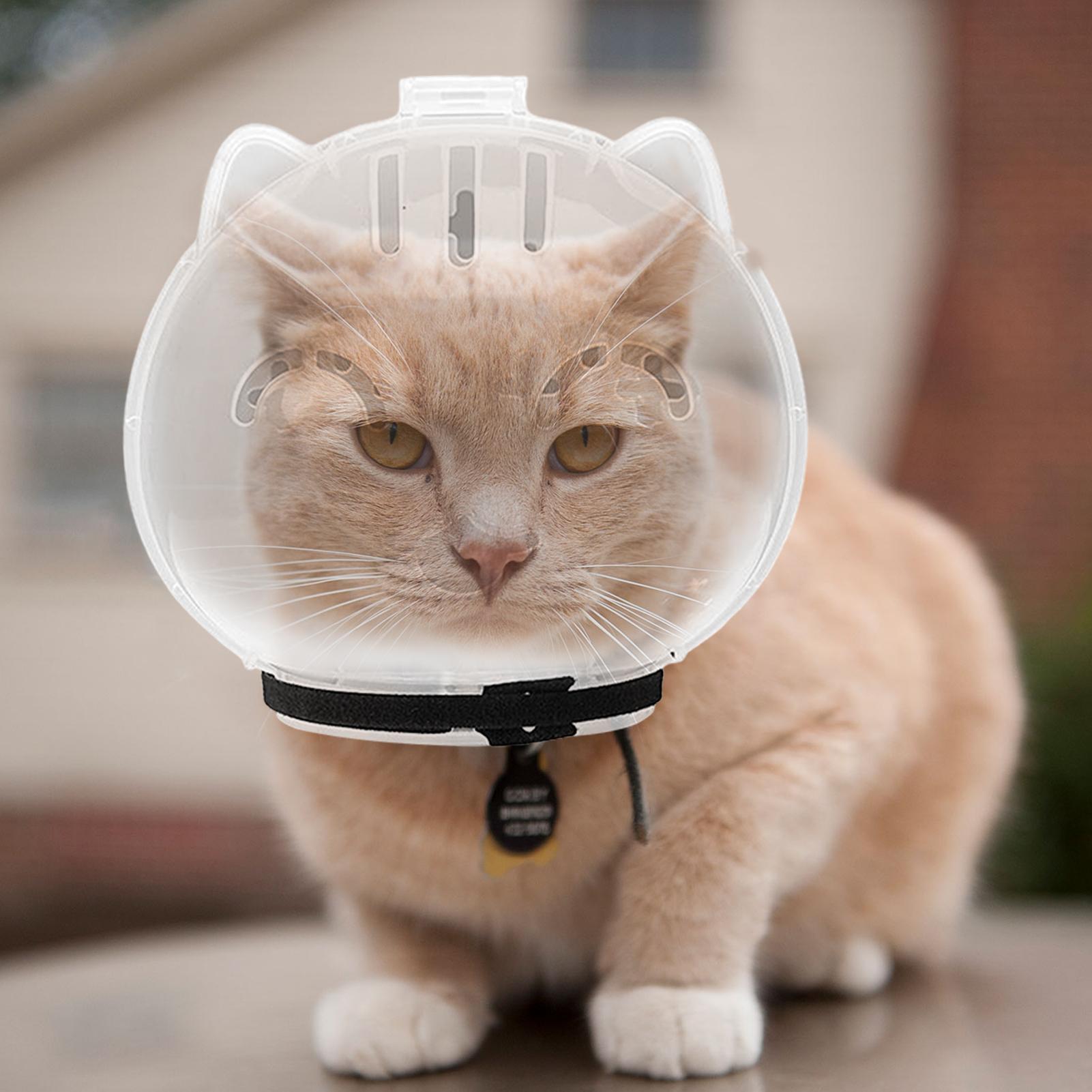 Breathable Cat Muzzle Transpar - Pet Supplies Young ulasan dan harga