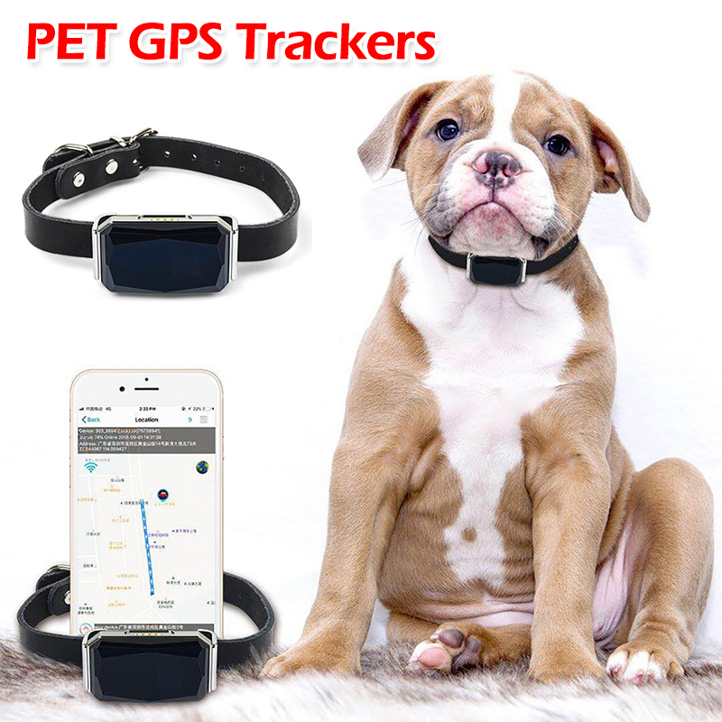 Pet GPS Tracker Location Adjus - Pet Gps Tracker Collar ulasan dan harga