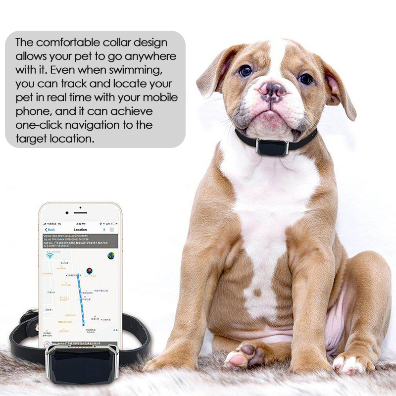 Pet GPS Tracker Location Adjus - Pet Gps Tracker Collar ulasan dan harga