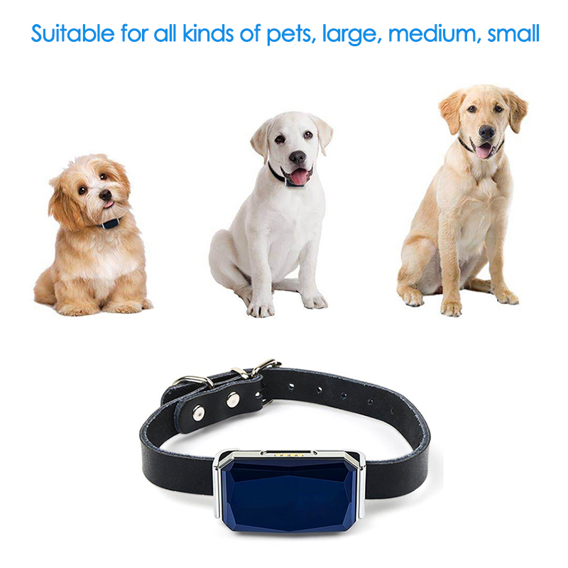 Pet GPS Tracker Location Adjus - Pet Gps Tracker Collar ulasan dan harga