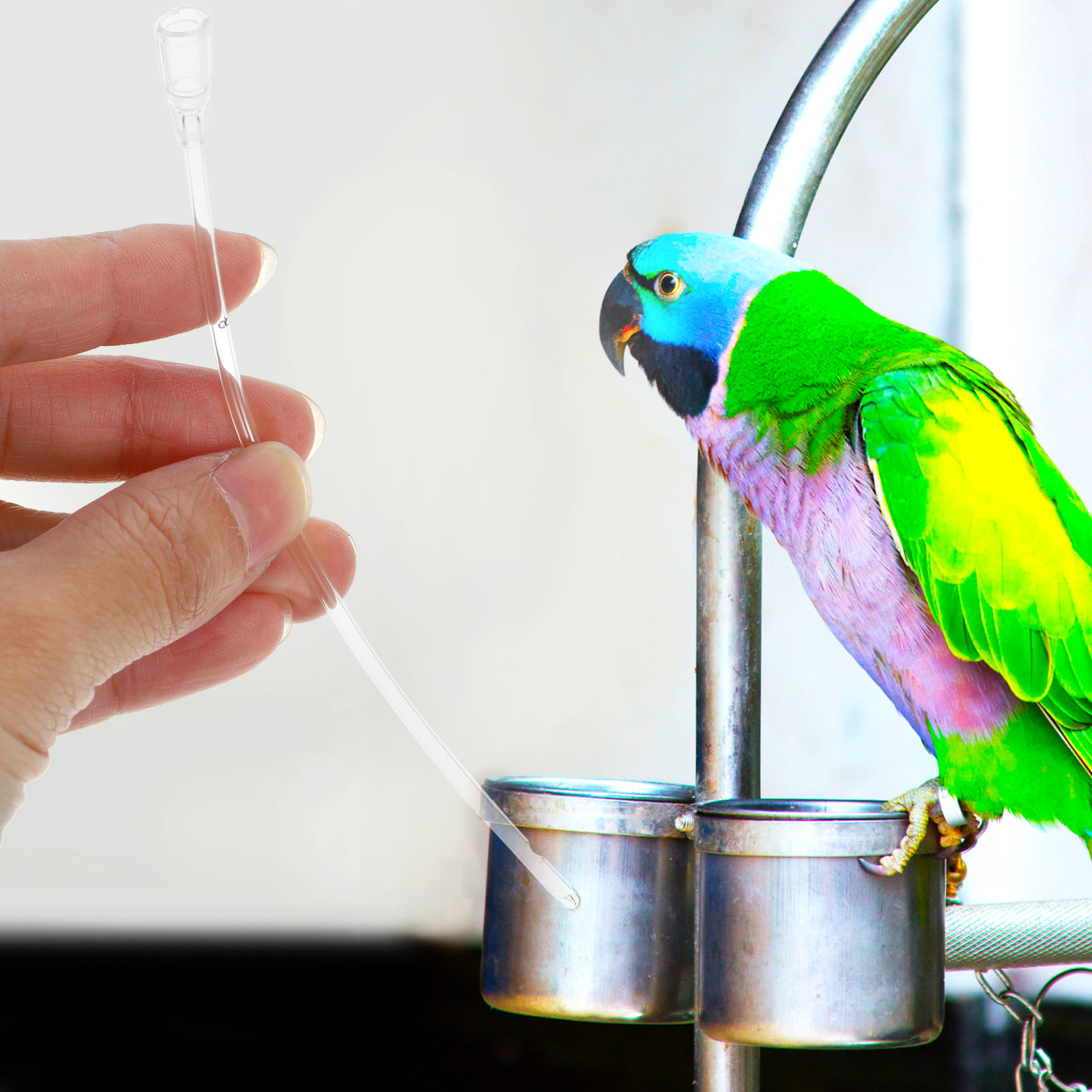 5Pcs Pet Feeding Hose Transpar - Pet Supplies Young ulasan dan harga