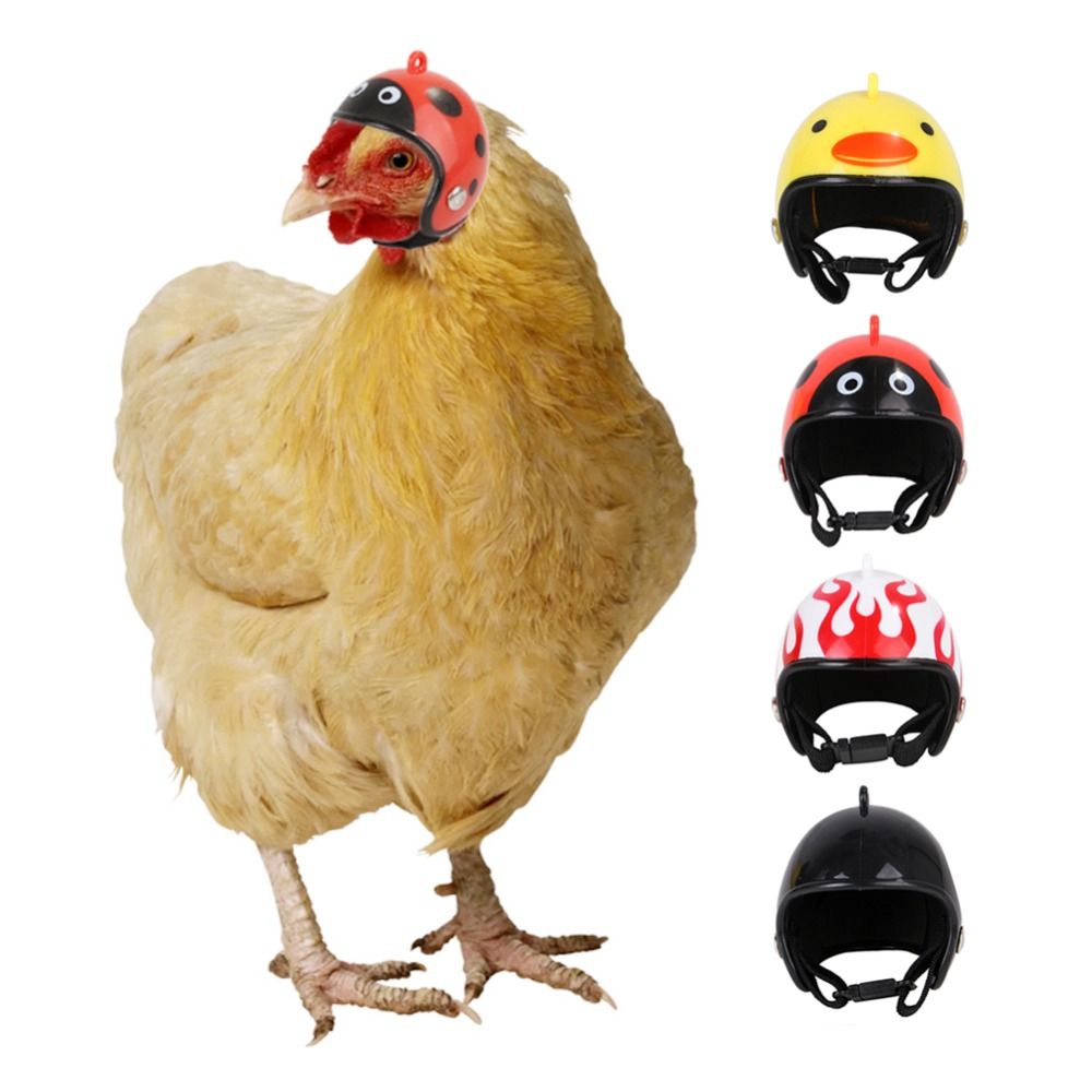ABS Pet Supplies Funny Pet Pro - Pet X Supplies & Tack Grooming ulasan dan harga