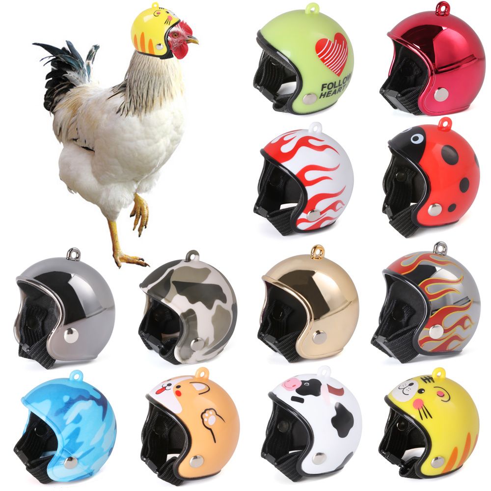 ABS Pet Supplies Funny Pet Pro - Pet X Supplies & Tack Grooming ulasan dan harga