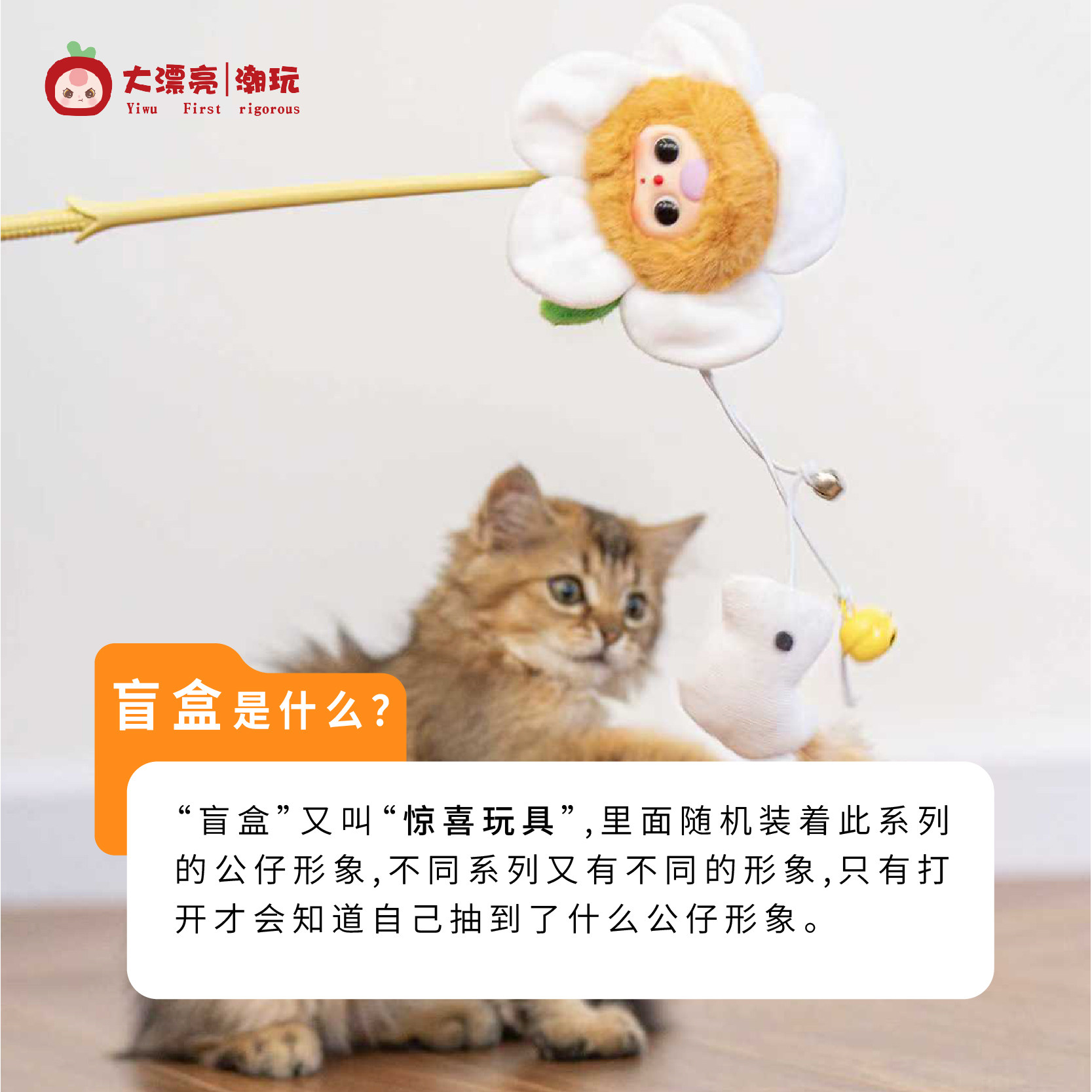 Dapiaoliang Chaowan Cat Teaser - Pet Supplies Young ulasan dan harga
