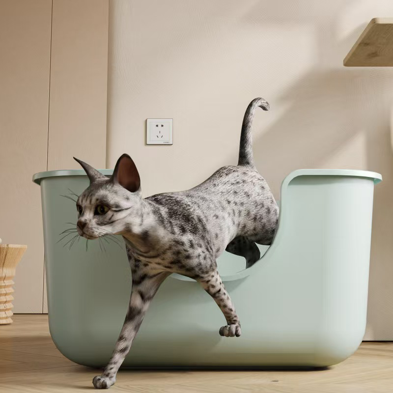 Oversized Box Large Semi-close - Pet Supplies Young ulasan dan harga