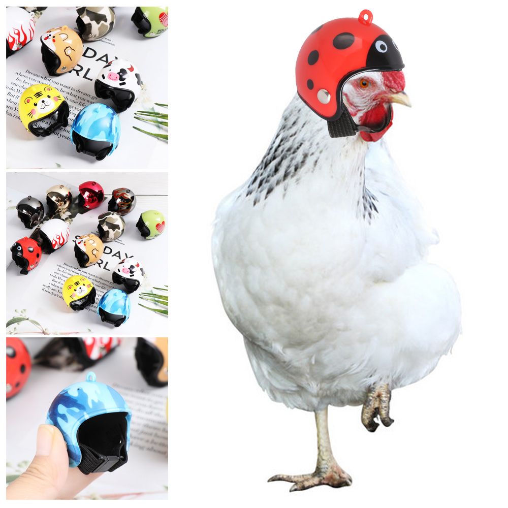 ABS Funny Pet Supplies Pet Pro - Pet X Supplies & Tack Grooming ulasan dan harga