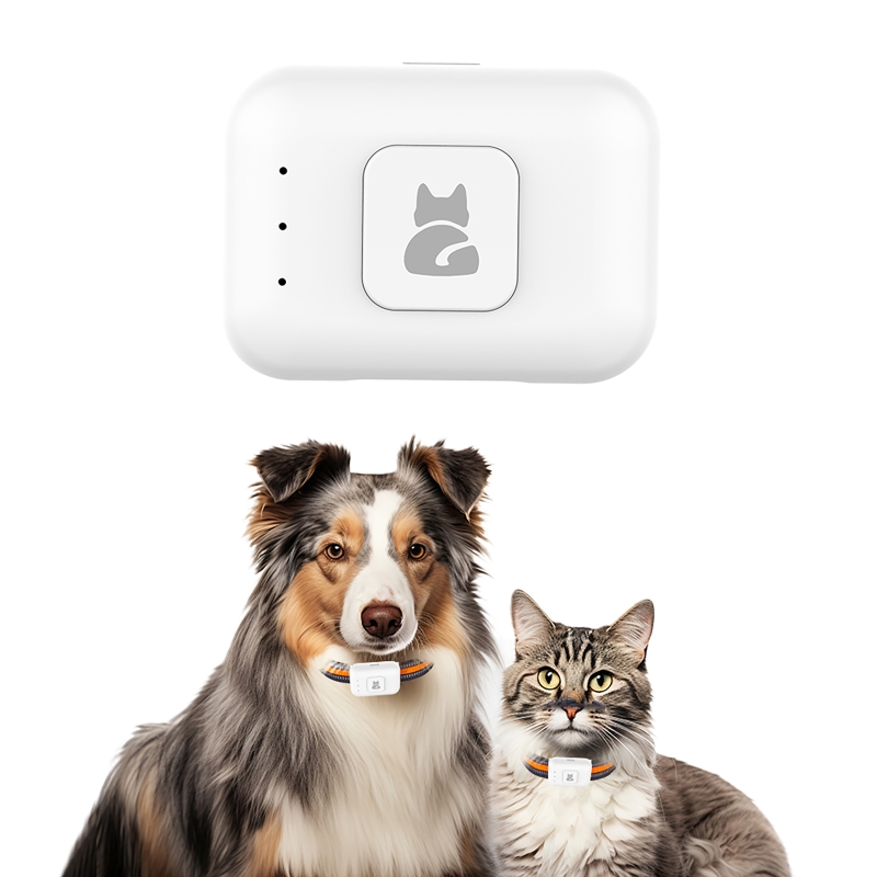 GPS Pet Tracker with Colorful  - Pet Gps Tracker Collar ulasan dan harga