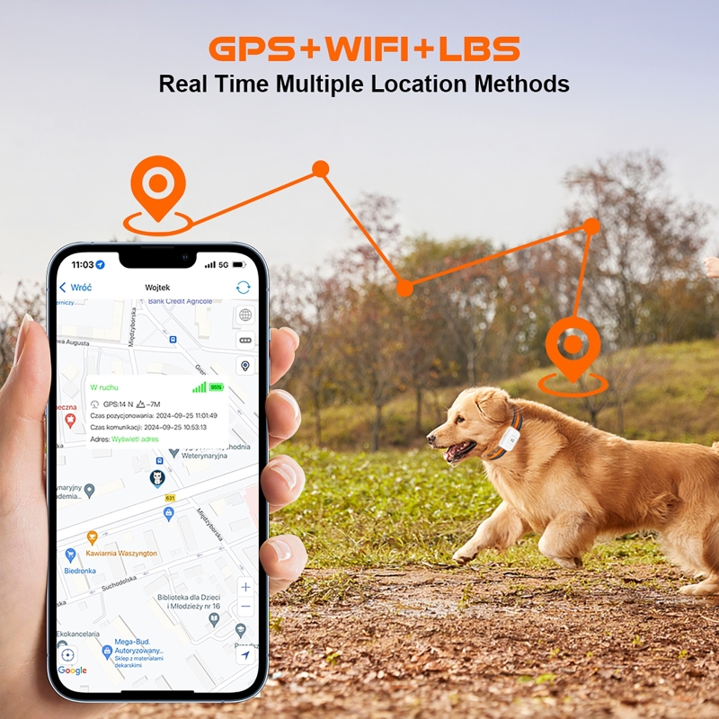 GPS Pet Tracker with Colorful  - Pet Gps Tracker Collar ulasan dan harga