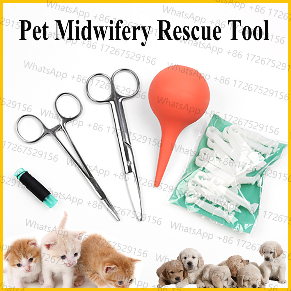 Applicable to1SET Pet Dog Cat  - Pet Supplies Application ulasan dan harga